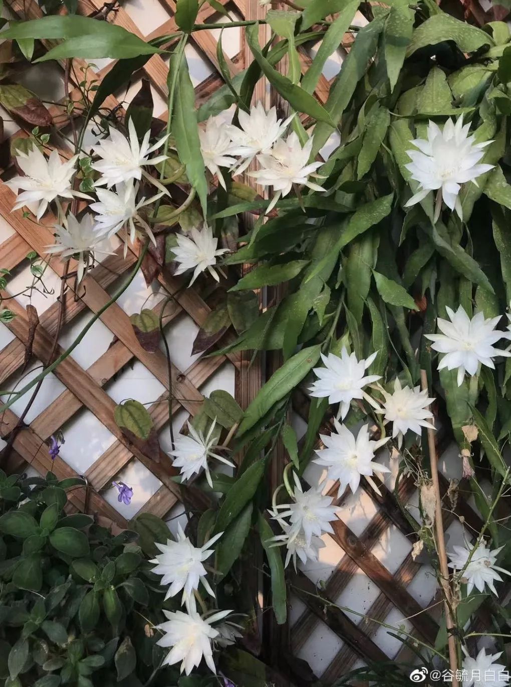 宅家还不逛淘宝？低价格、高格调好物，链接直给，买就完了