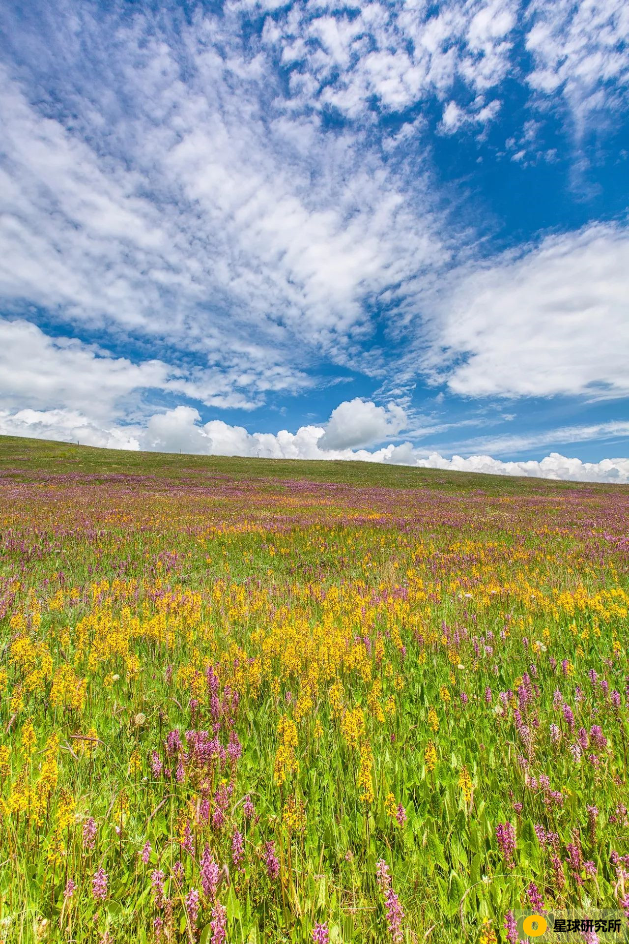 甘肃荒凉风景视频,甘肃荒凉的美景