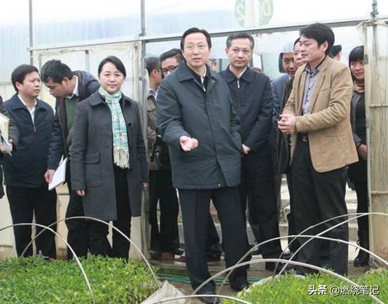 良田优大米,粮田优米稻花香米