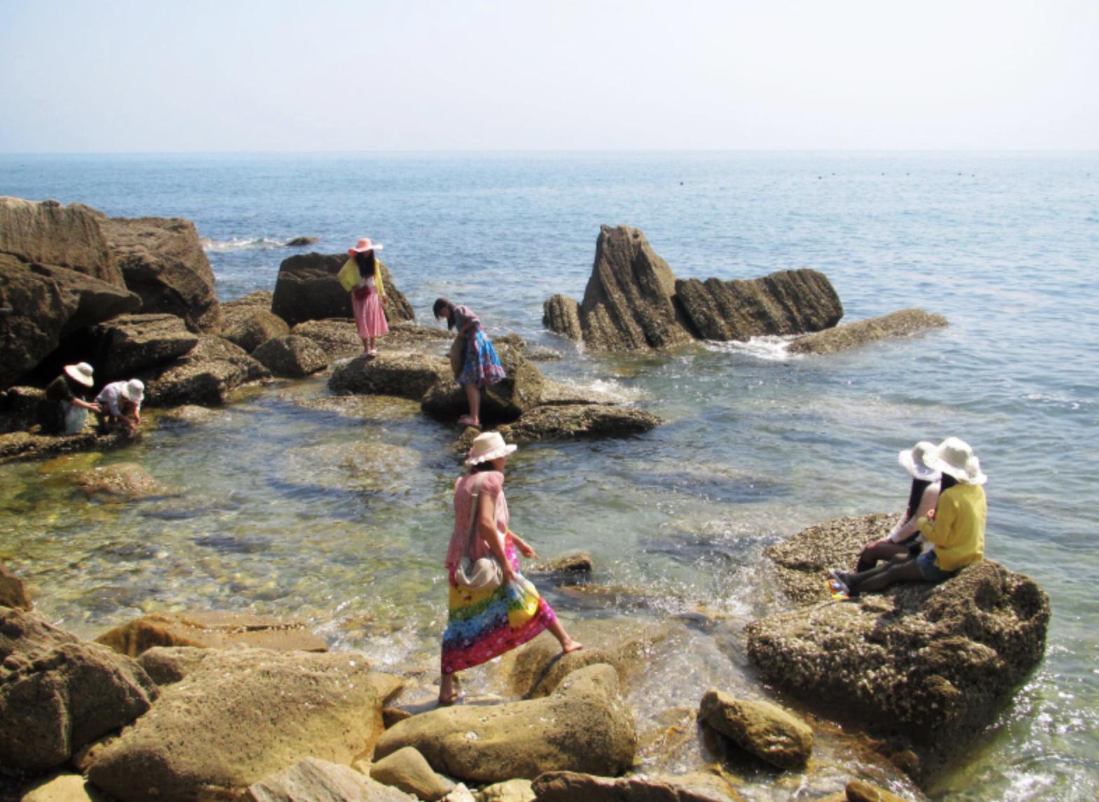 端午海岛旅游攻略,端午海岛游