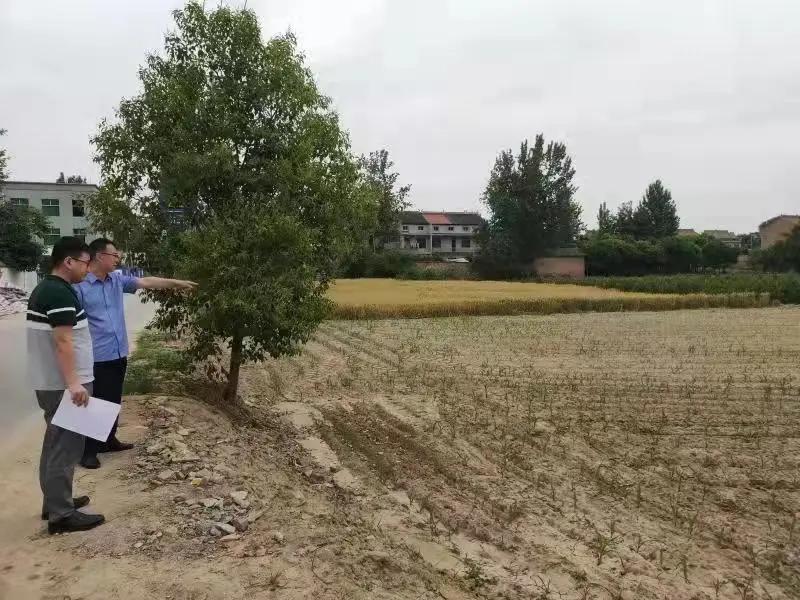 【周检·“我为群众办实事”】强担当、勇作为，推进“我为群众办实事”落细落实