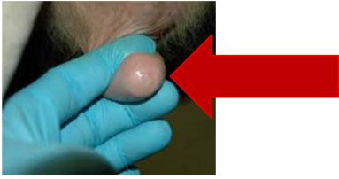 peter鍗氬＋鑲插効璇惧爞,鑻卞浗peter