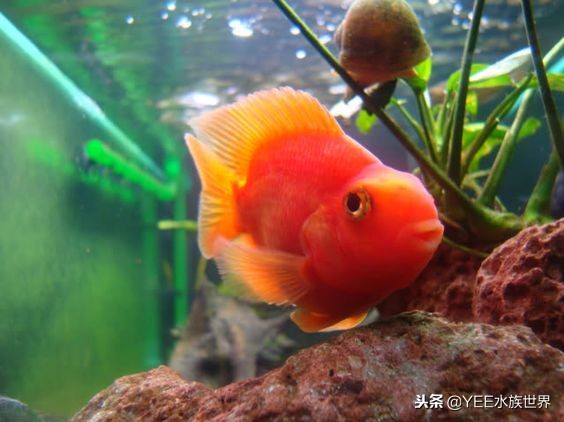 费尽了心思和精力,费尽了所有的心思