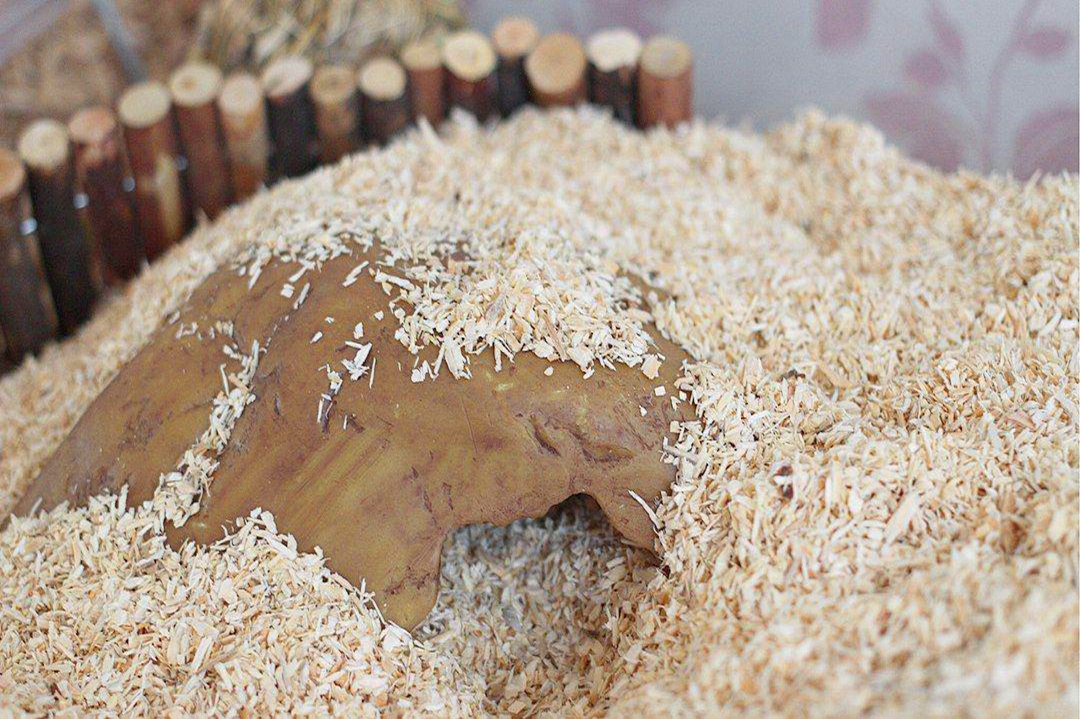 家用室内仓鼠笼怎么选好,什么样的仓鼠笼可以避免老鼠袭击