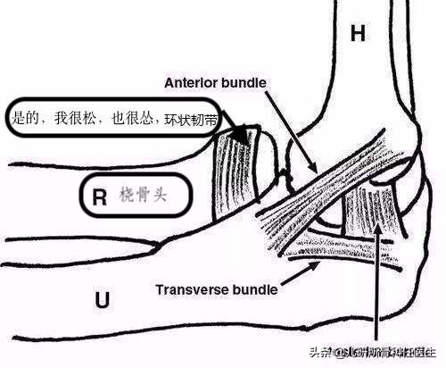 孩子出门玩耍担心牵拉肘？爸爸妈妈看这一篇就够了