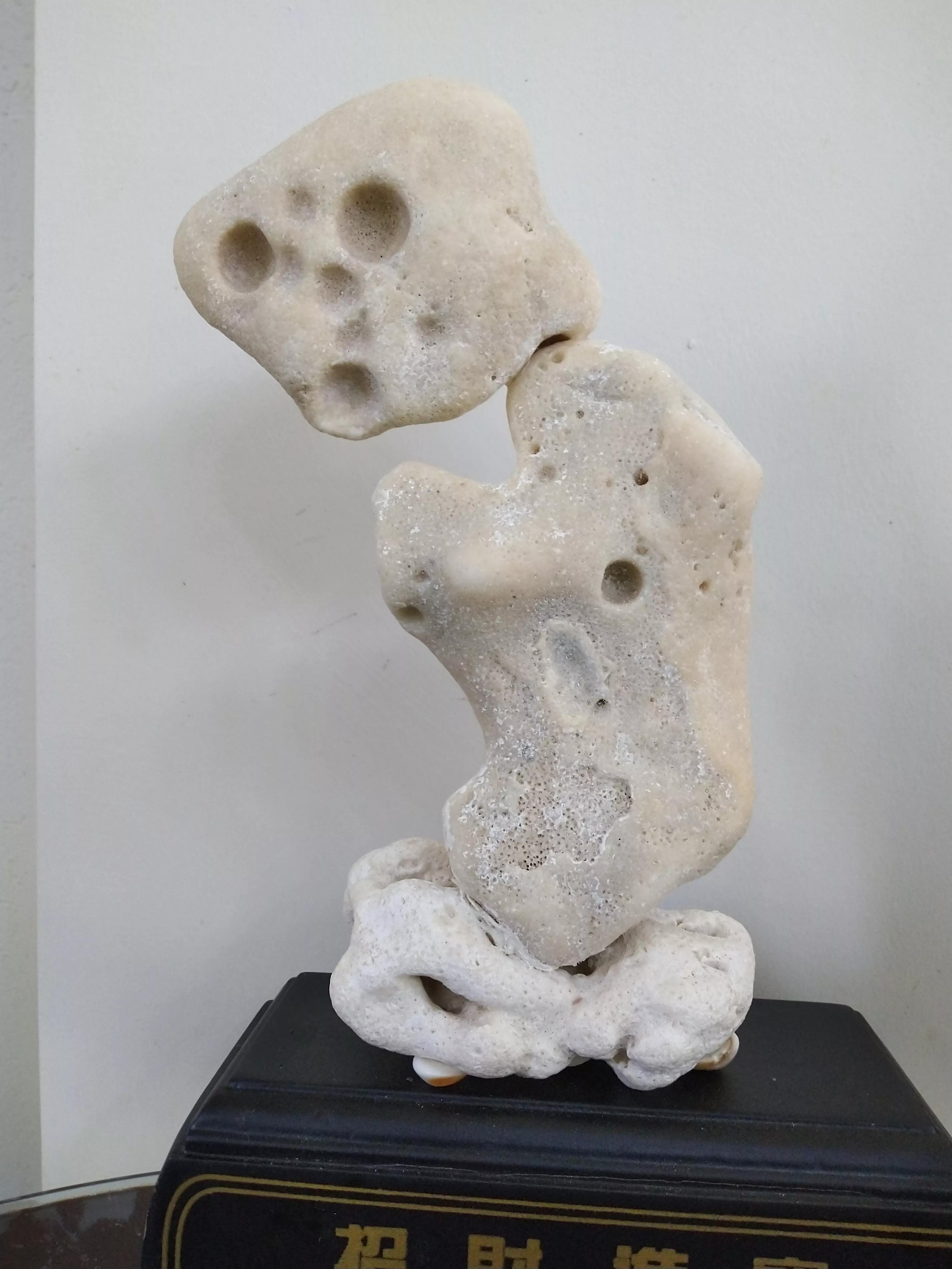 发现大自然的美的作文500字,发现大自然的美一篇作文