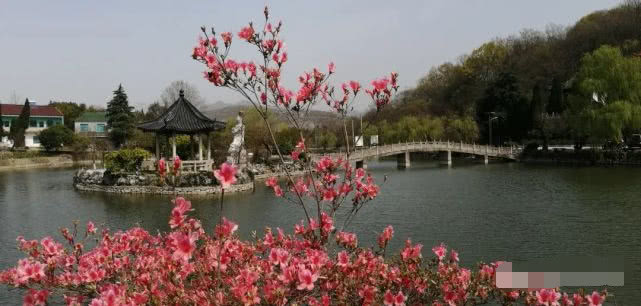 再访阿拉善,再访大理三塔