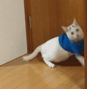 “液体”做的猫究竟可以拉多长?得知真相后,网友纷纷直言:变态