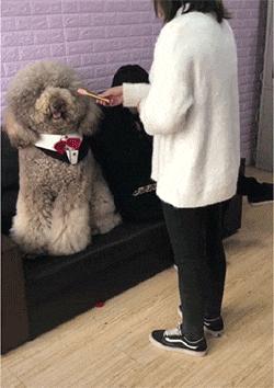 开心一刻gif搞笑动图,搞笑gif段子看起来能量满满