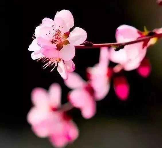 人生岁月感怀诗,孤独落寞伤感的五句诗