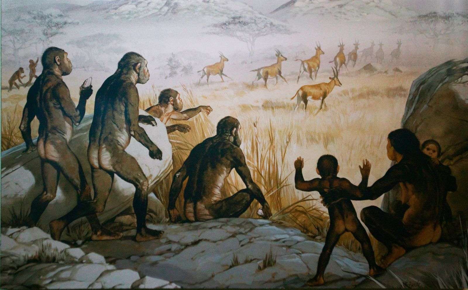 女人为什么会进化出月经,女性为何进化得越来越漂亮