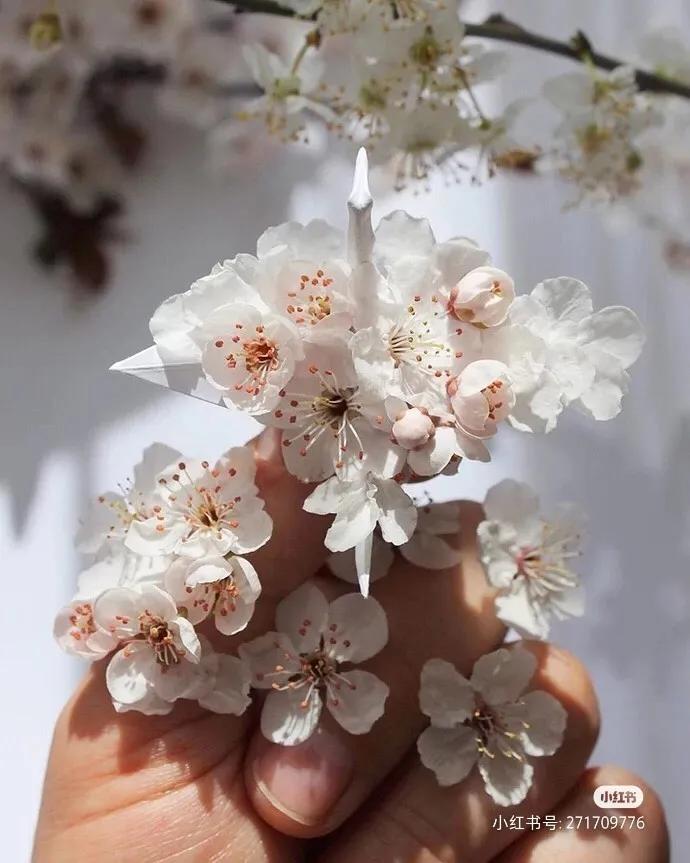 芜湖探店：小意达的花园——让鲜花芬芳你生活的每一个角落