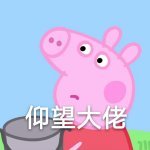 五月爱用物最新价格,五月爱用好物清单