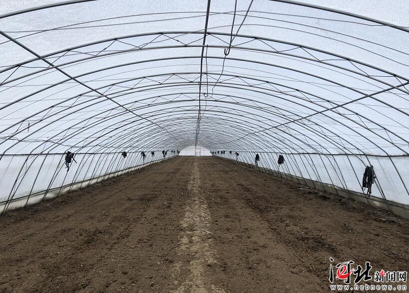 河北脱贫攻坚,图文直播张家口一中