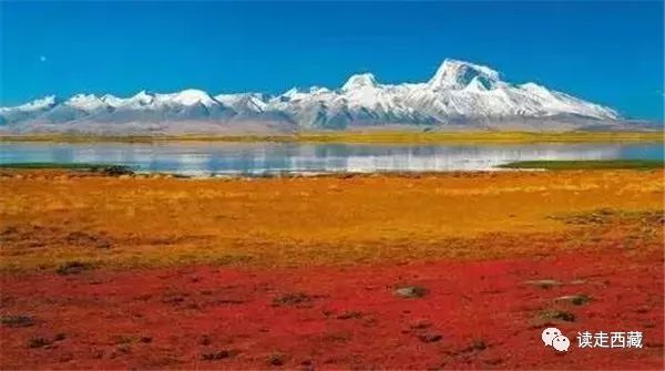 走阿里去纳木错免费吗,走在西藏高原普兰县