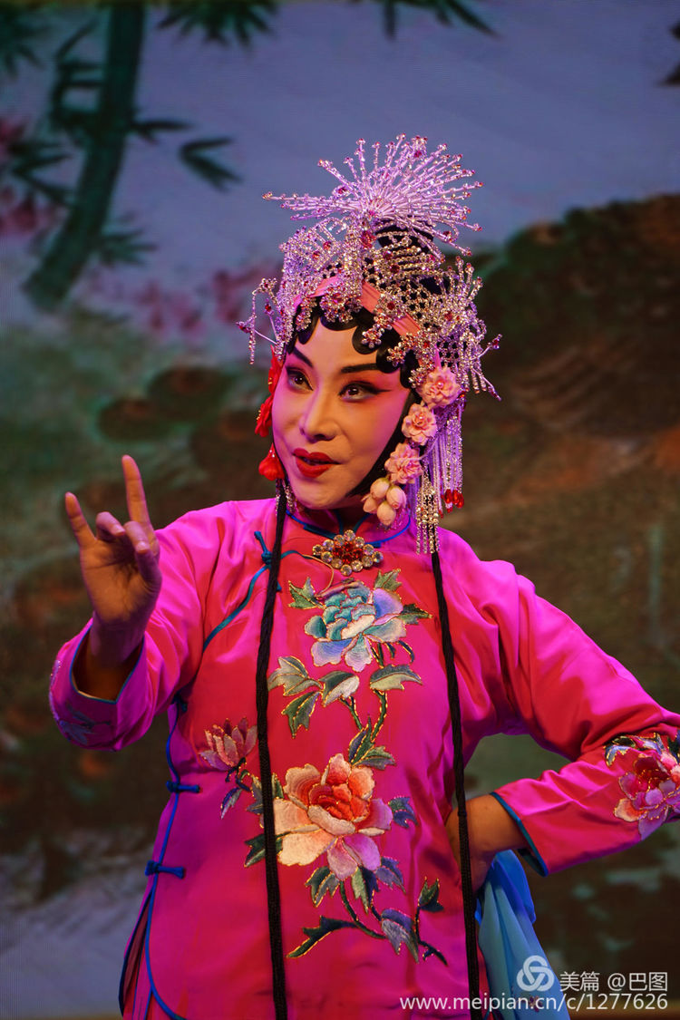 曲剧花为媒经典唱段全场,曲剧花为媒报花名完整唱段