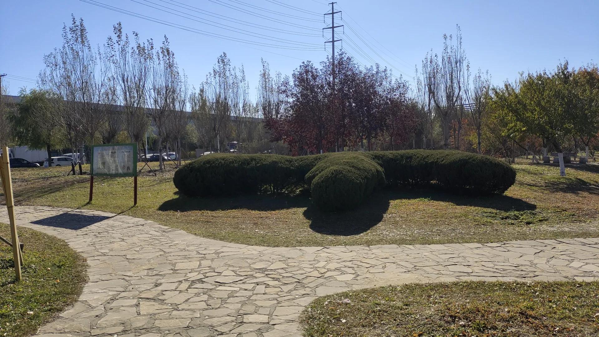 沈阳远大湿地公园,沈阳七星湿地公园