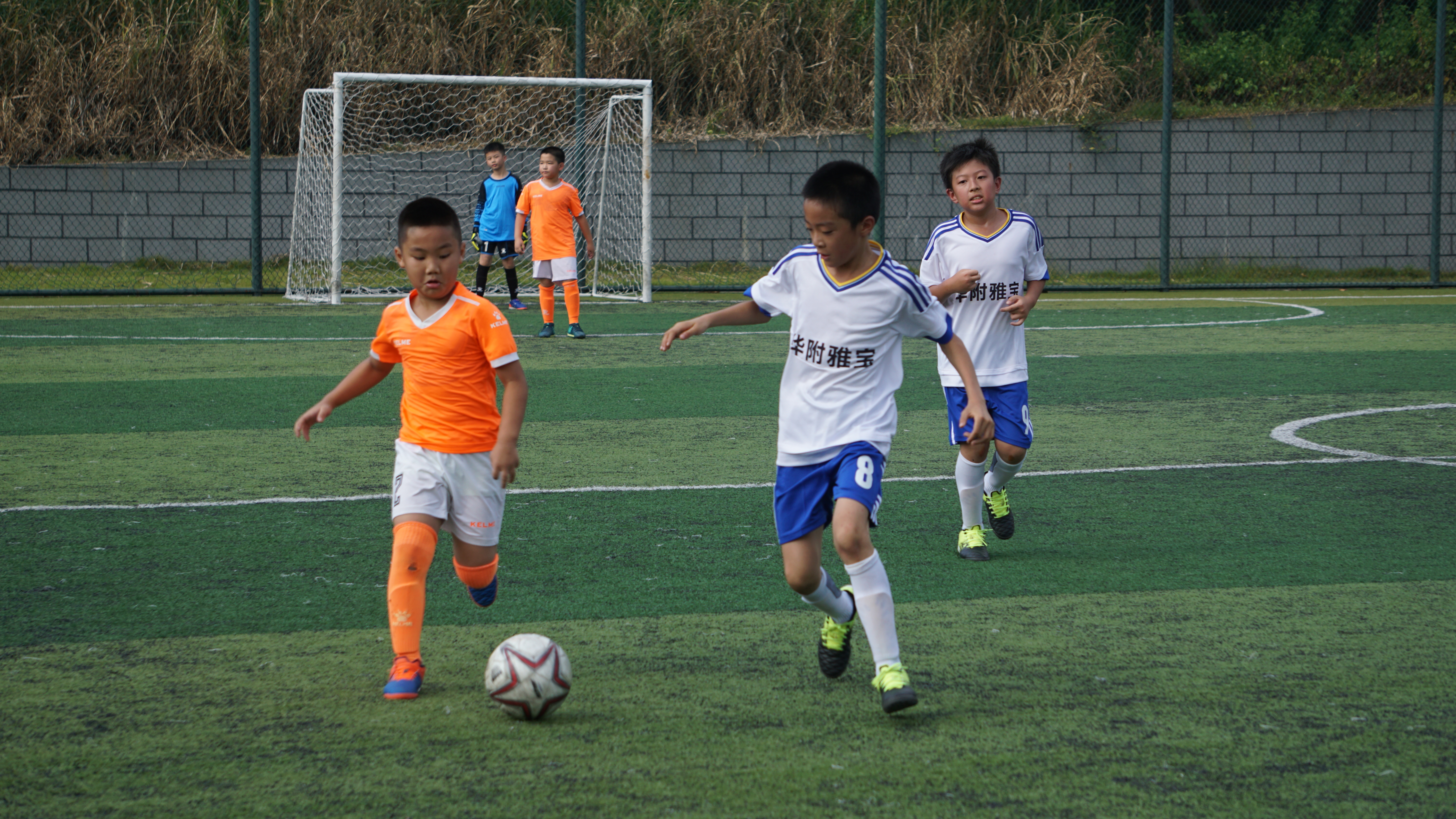 绿茵赛场比赛视频,龙岗杯足球比赛