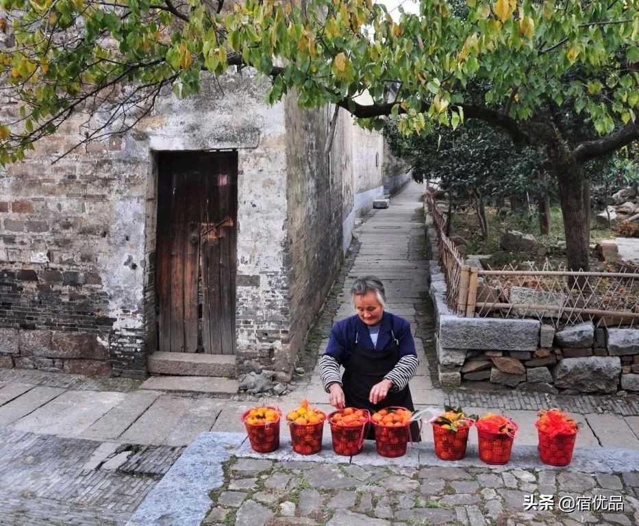 32张美景图片,苏州东山西山风景区哪个更值得去