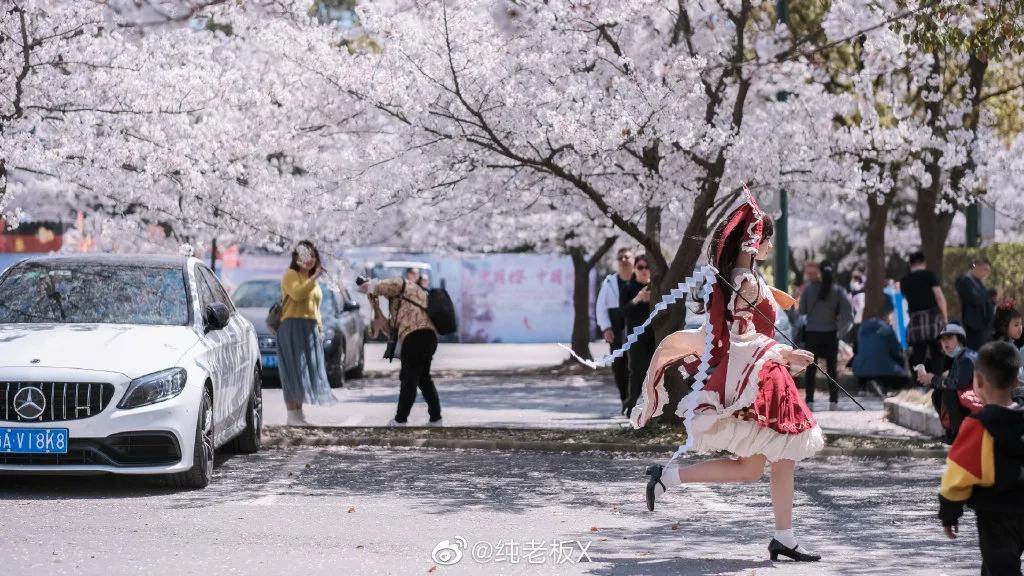 鐏垫ⅵ宸コcos缁垮瓙,鐏垫ⅵ宸コcos