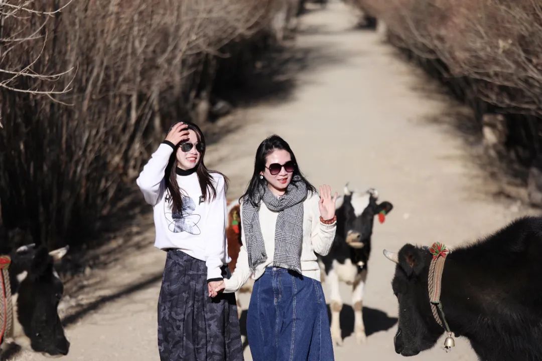 媲美新疆的地方,媲美西藏大北线的新疆自驾路线