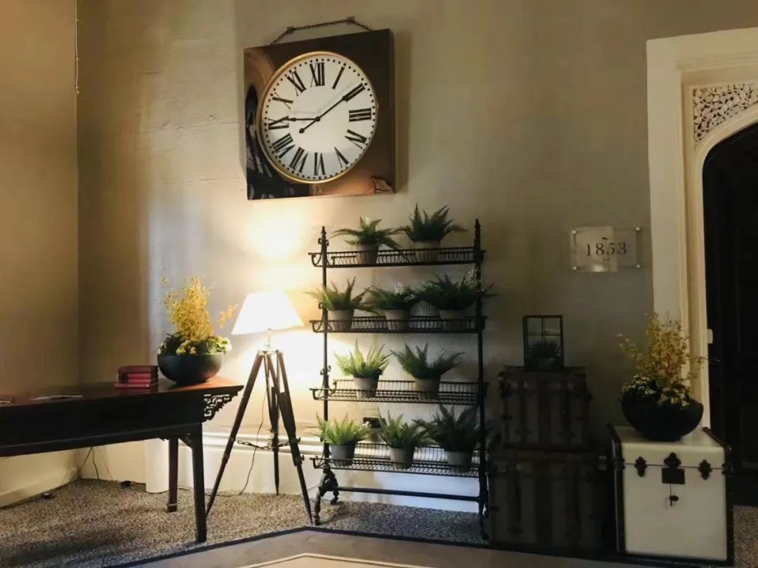 英伦旅行,英伦游学记全集