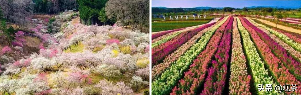 珠海有哪些值得打卡的地方,珠海有什么地方值得去打卡