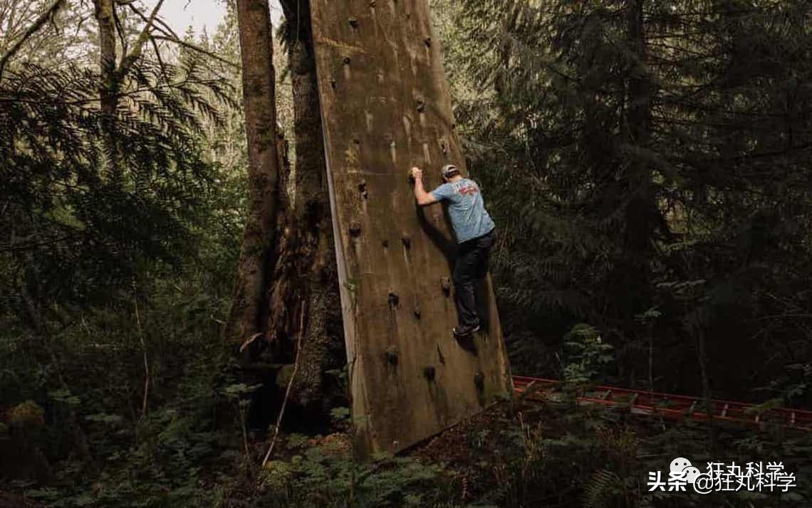 网戒中心十周年,网戒中心关停
