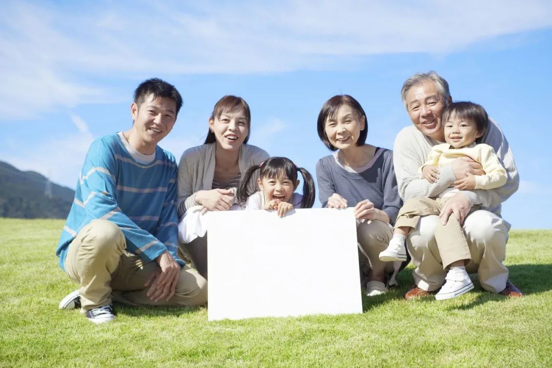 目前对合生元最官方的定义是什么,合生元是真的假的