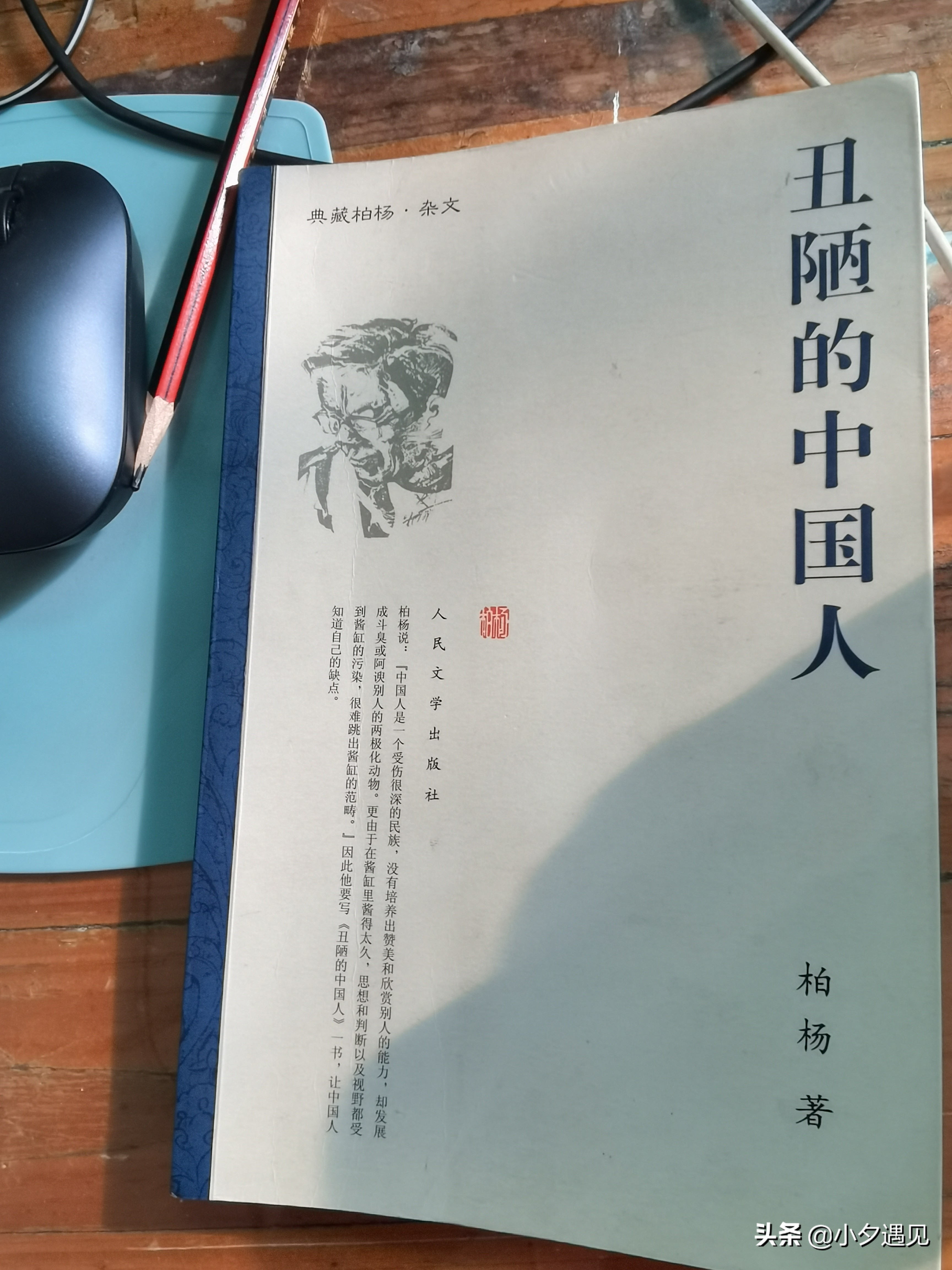 柏杨《丑陋的中国人》，把老底子都揭穿了，让人难堪