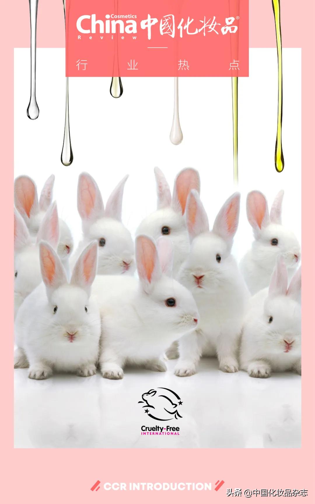 化妆品安全与动物试验,化妆品进口需要动物实验么