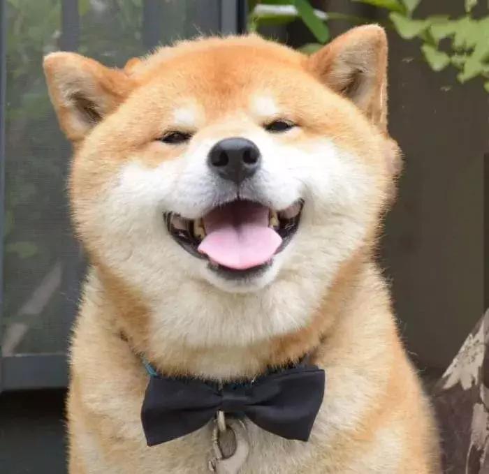 国庆出游必买护肤品,国庆出游一定要囤的新品化妆品