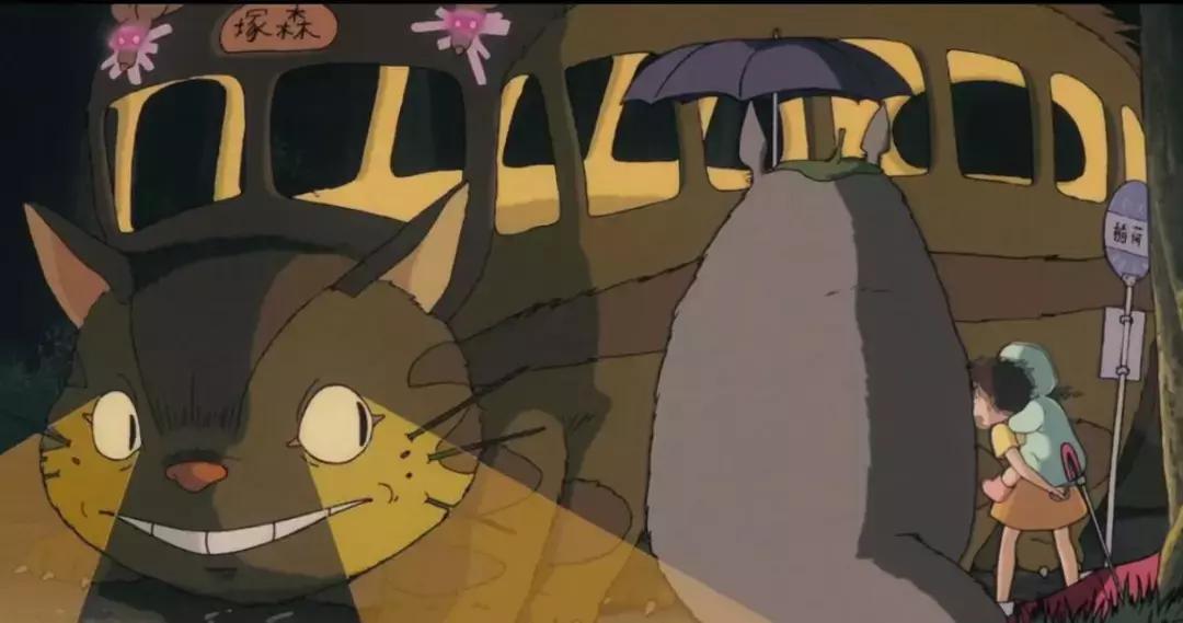 龙猫最久能活多久,龙猫30秒