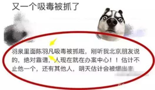 如果陈羽凡没有吸毒羽泉会有多火,陈羽凡吸毒事件后现状