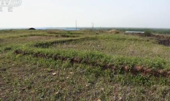 古墓宝藏之谜,墓室之谜完整版