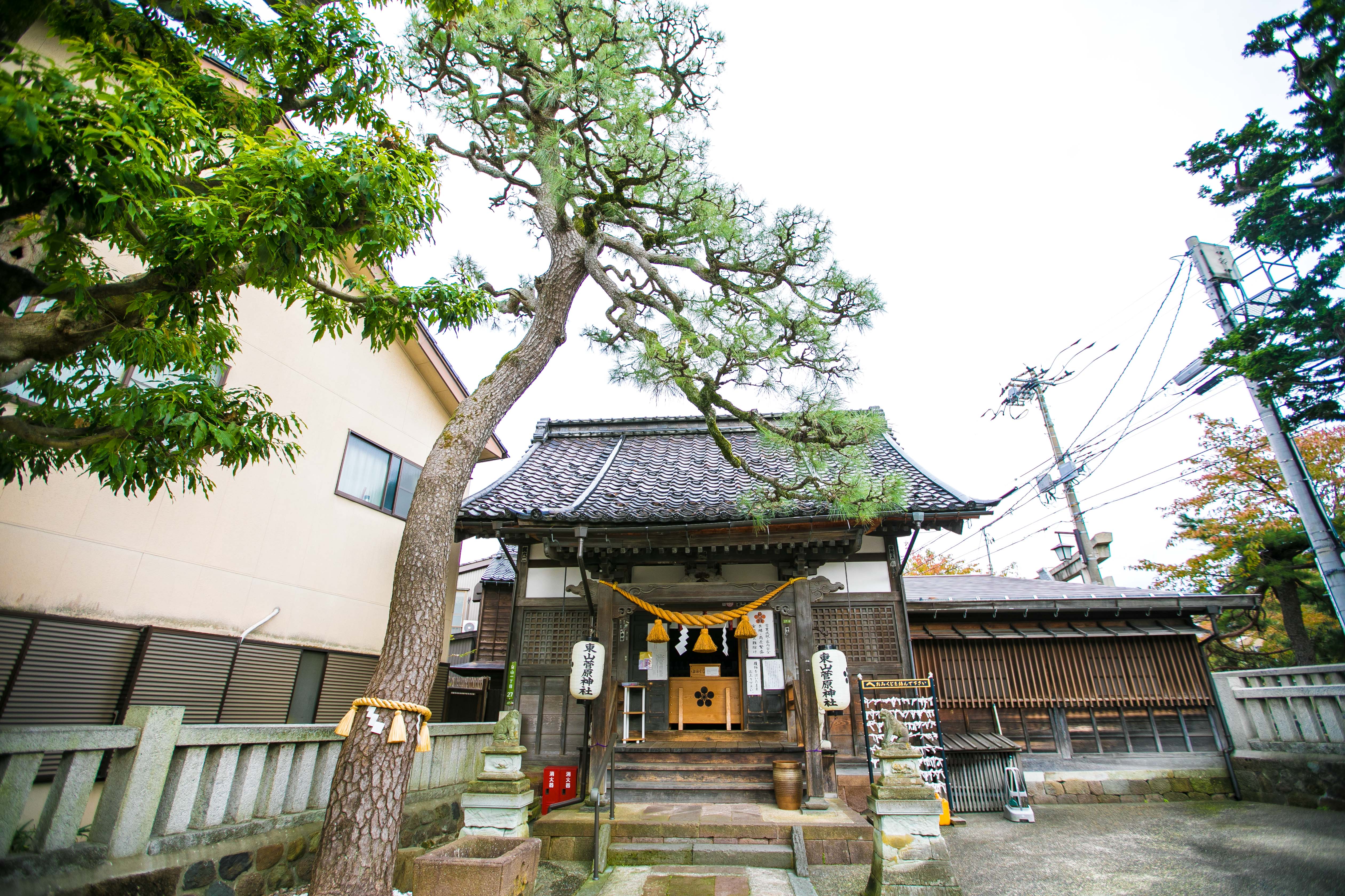 日本金泽在日本的什么地方,金泽的金箔