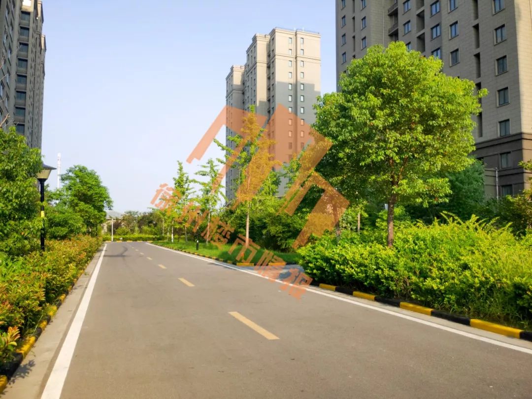 徐州奥体中心哪里的楼盘好,徐州地铁奥体中心