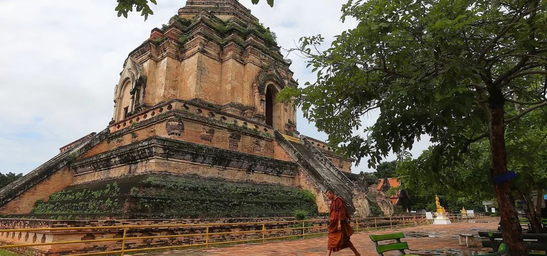 清迈夜间动物园旅游攻略,清迈到曼谷自驾游攻略