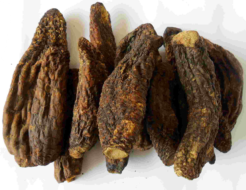 肉苁蓉适宜肾阳虚还是肾阴虚,肉苁蓉适合阳虚还是阴虚的人服用