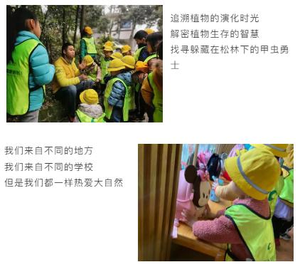 寒假研学活动圆满结束,寒假研学冬令营