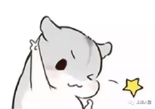 上海顶级公办幼儿园,上海公办幼儿园排名榜前十