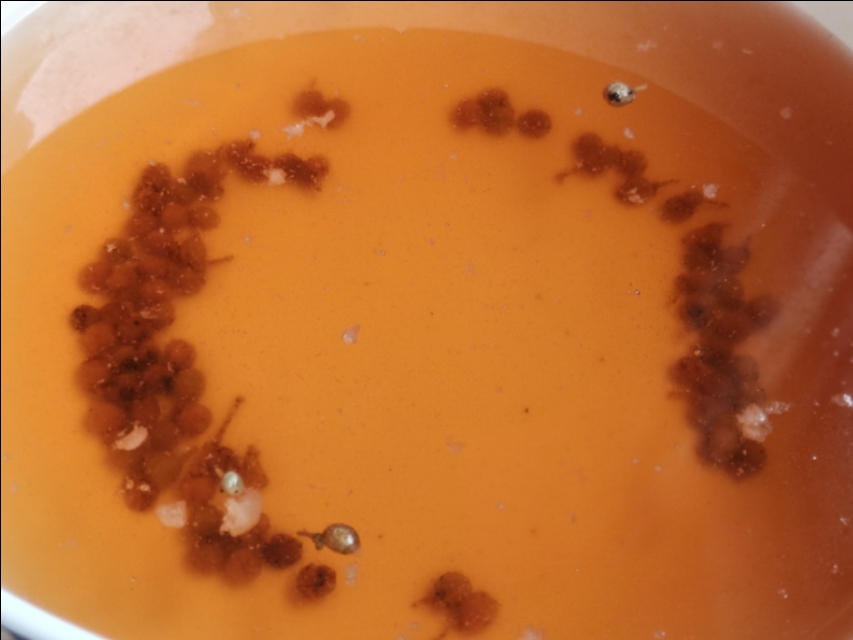 我的退休后的快乐生活,我的退休生活充实而快乐