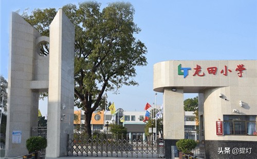深圳坪山小学排名2019,深圳坪山小升初小学排行榜