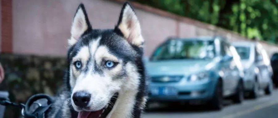 盘它！2019版张家港最全通讯录出炉！人手一份，你一定用得上……