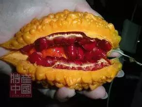 世界稀奇水果品种大全,世界热带奇特水果品种介绍