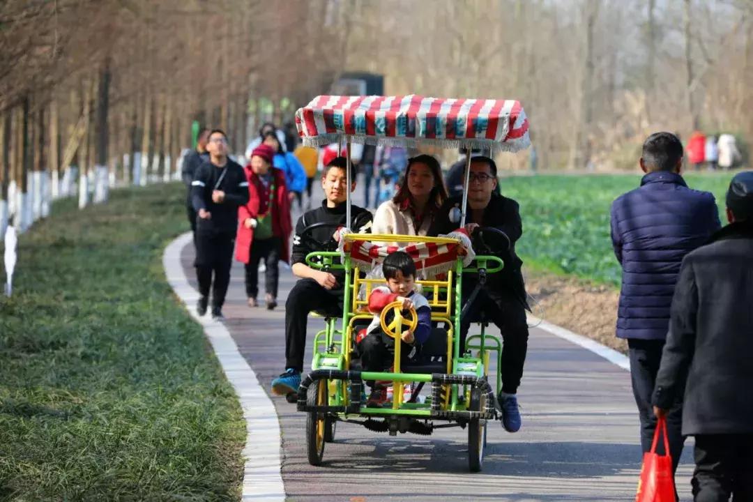 3月底天府绿道哪段最美,天府绿道介绍及特色