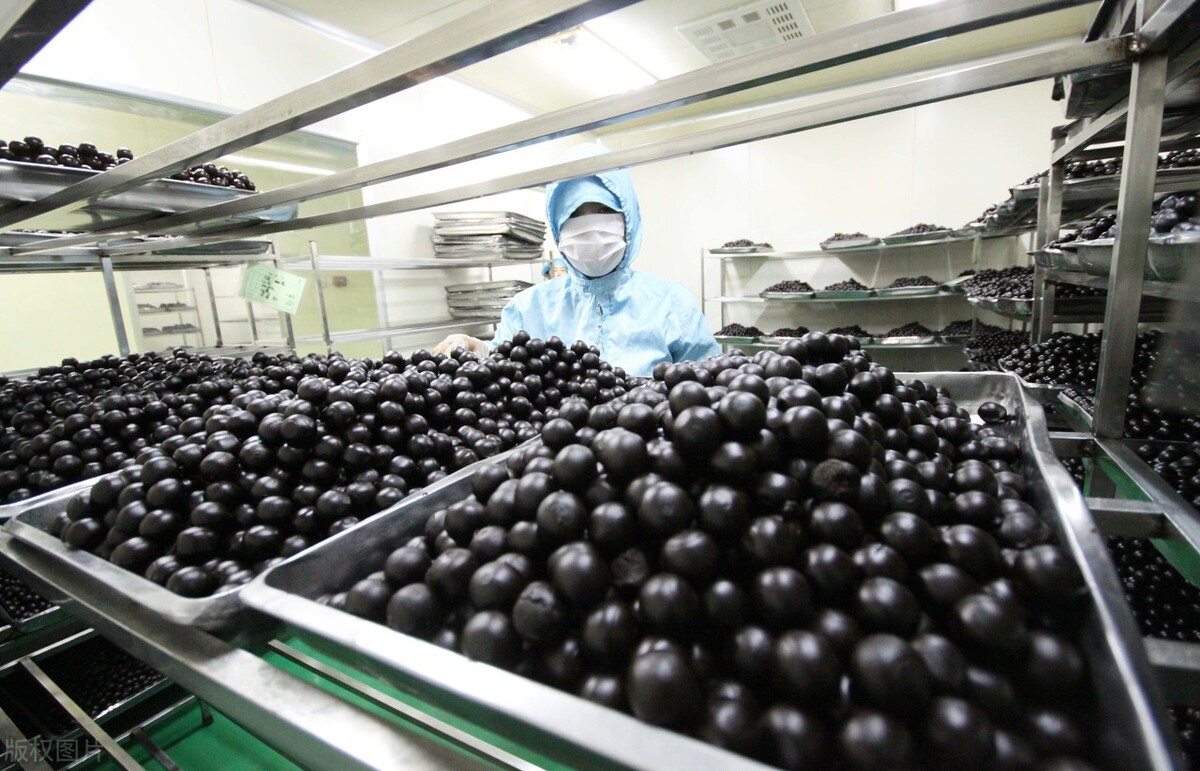 肾阳虚吃五子衍宗丸可以治愈吗,肾阳虚严重的吃五子衍宗丸可以吗