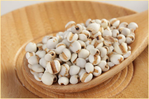 薏仁除湿气最好的方法,红豆薏仁祛除人体湿气的方法