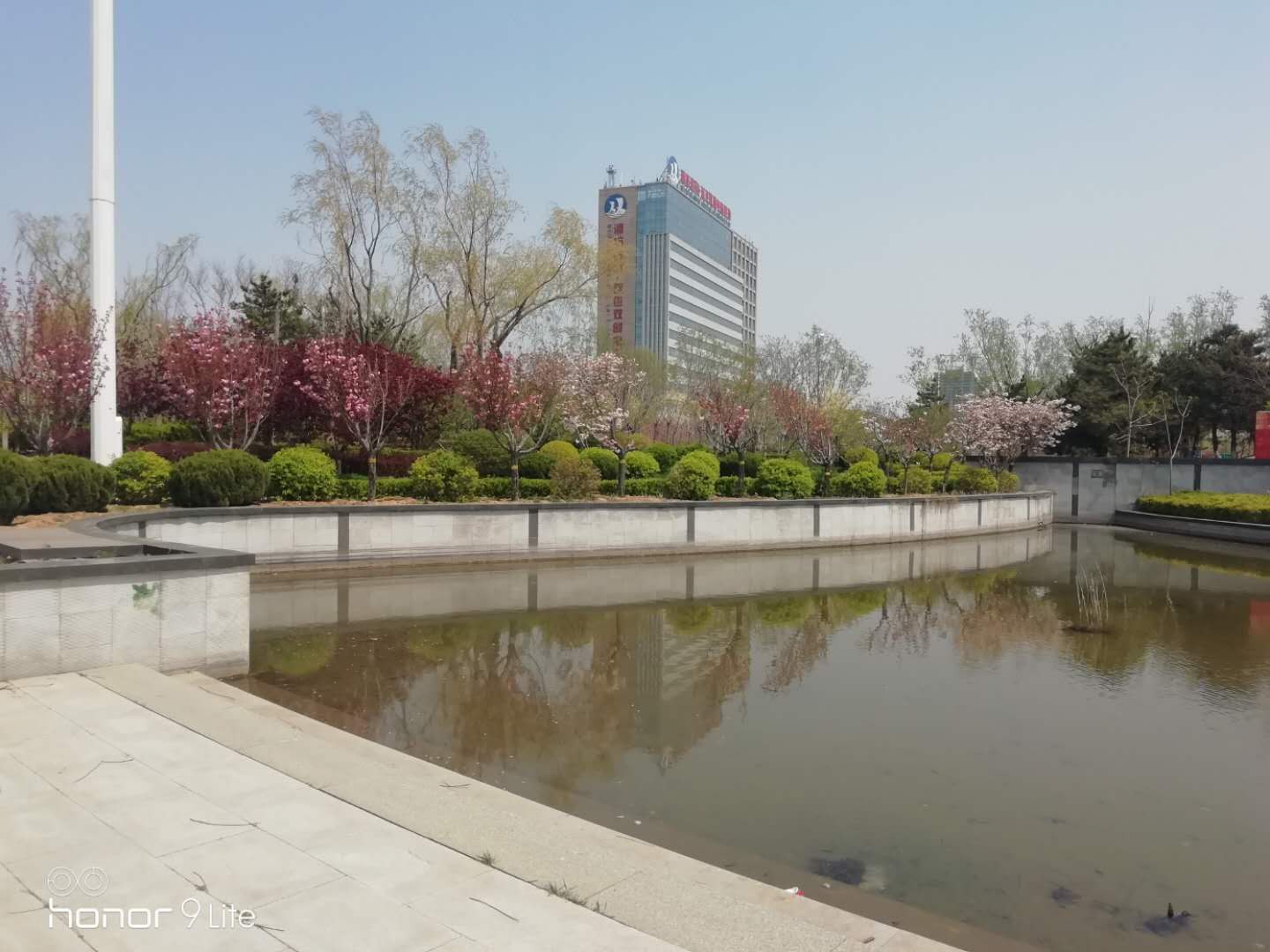 应时之作|春的蝶变