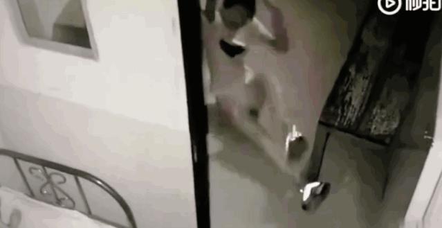 去鬼屋都被吓晕了,去鬼屋玩把工作人员给吓到